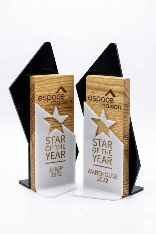 Black Acrylic + Wood Trophy