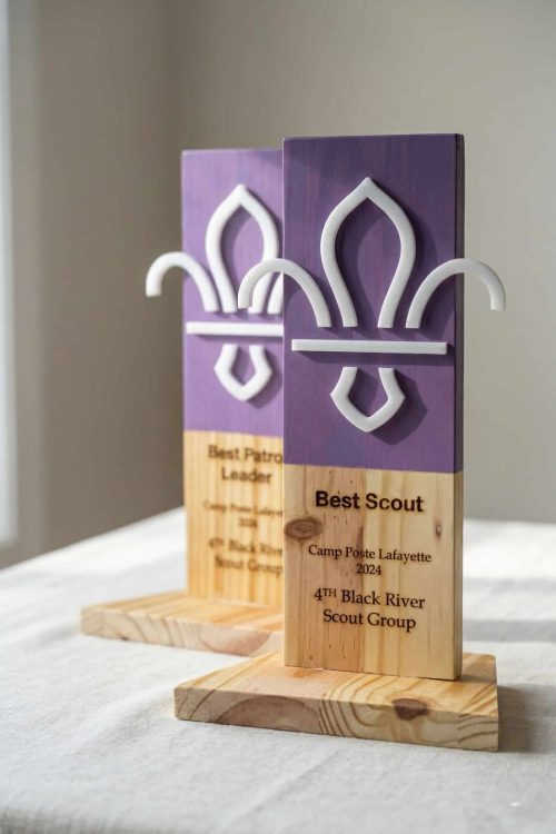 Scout/Club Award Trophy