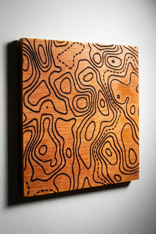 Engraved Topographic Wall Panel